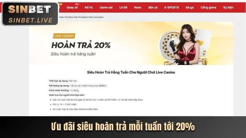 99vz Live Casino: Immersive Experience and High Returns